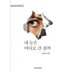 내 눈은 어디로 간 걸까