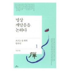 명상. 1: 깨달음을 논하다