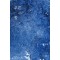 푸른꽃
