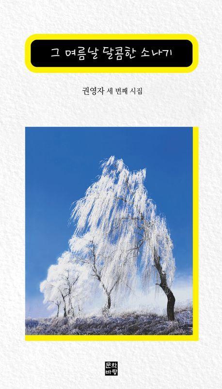 그 여름날 달콤한 소나기