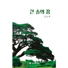 큰 솔의 꿈