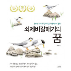 쇠제비갈매기의 꿈