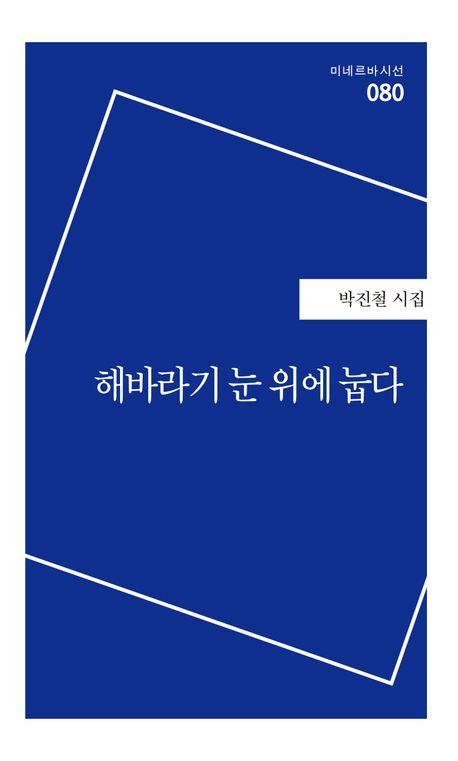 해바라기 눈 위에 눕다