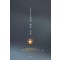 3923일의 생존 기록