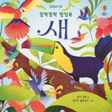 Usborne 깜짝깜짝 팝업북: 새