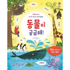 Usborne 논리력 쑥쑥! 영재 플랩북: 동물이 궁금해!