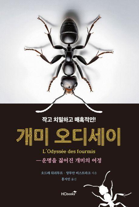 개미 오디세이