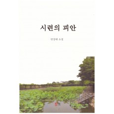 시련의 피안