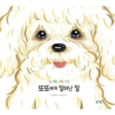 또또에게 일어난 일