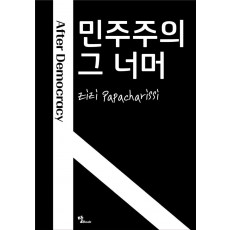 민주주의 그 너머