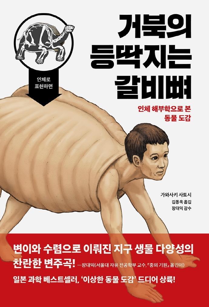 거북의 등딱지는 갈비뼈