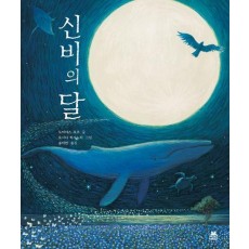신비의 달