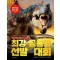 최강 공룡왕 선발 대회