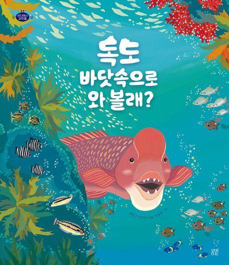 독도 바닷속으로 와 볼래
