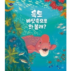 독도 바닷속으로 와 볼래