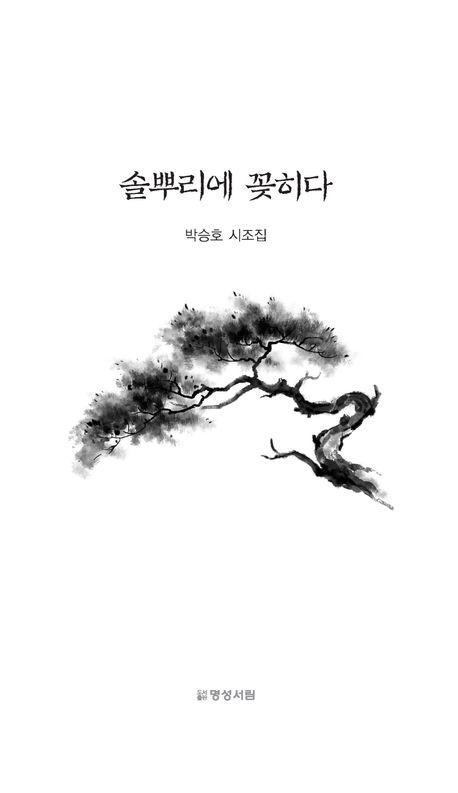 솔뿌리에 꽂히다