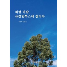 퍼런 바람 유칼립투스에 걸리다