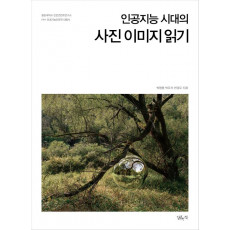 인공지능 시대의 사진 이미지 읽기