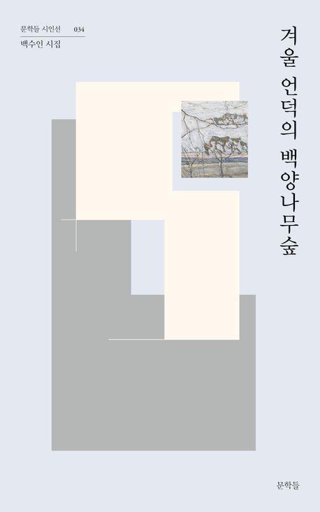 겨울 언덕의 백양나무숲